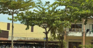 Nữ giáo viên bị phát tán hình ảnh nhạy cảm, hiệu trưởng nhà trường lên tiếng 1 nu giao vien bi phat tan hinh anh nhay cam hieu truong nha truong len tieng 126