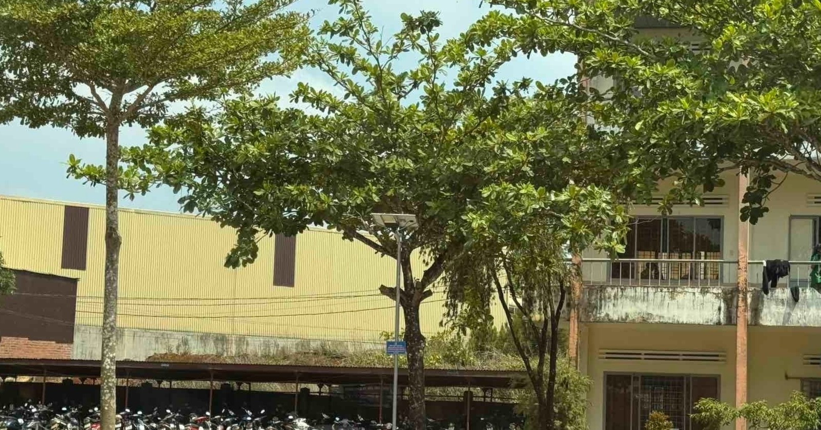 nu giao vien bi phat tan hinh anh nhay cam hieu truong nha truong len tieng 126