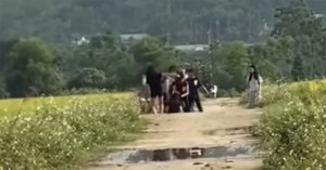 Nữ sinh lớp 8 ở Nghệ An bị nhóm bạn đánh hội đồng phải nhập viện 5 nu sinh lop 8 o nghe an bi nhom ban danh hoi dong phai nhap vien 1242