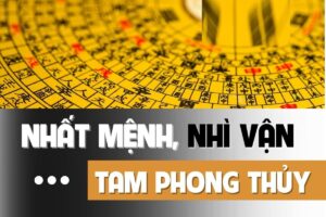 Nuôi dưỡng được 4 loại phong thủy này, con cái đỗ đạt làm quan, hưng thịnh 3 đời 8 nuoi duong duoc 4 loai phong thuy nay con cai do dat lam quan hung thinh 3 doi 103045