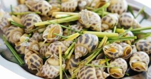 Oc Huong 1761795256026624815984 76 0 716 1024 Crop 1761795362631907570793