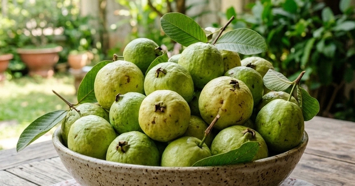 Oi 1773047180312345676973 60 0 700 1024 Crop 177304721217950508306