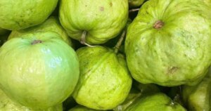 oi 1773753945685323981471 54 0 747 1108 crop 17737543316151171972902