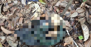 phat hien bo xuong nguoi trong vuon quoc gia ben canh co dao ba lo 462