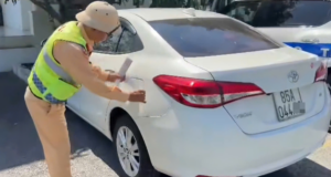 phat hien o to het han dang kiem van luu thong tren cao toc vinh hao phan thiet 1200