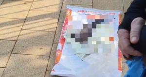 phat hien thi the be trai so sinh ben muong nuoc o tphcm 989