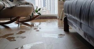 Nồm ẩm sau Tết ở miền Bắc: Cách giữ nhà khô ráo, hạn chế nấm mốc 1 photo 1771927723128 17719277244251376334042 0 0 366 700 crop 17719278448642007012624