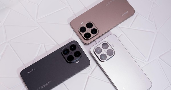 Photo1766541399861 17665414000921226064082 17665465652841537164169