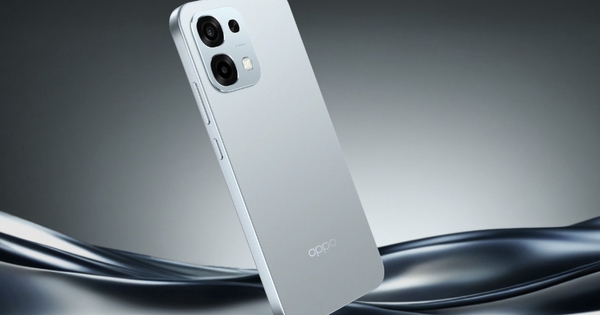 Photo1769137218356 17691372186741358639418 1769154207094217184442