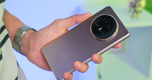 Photo1769480924443 1769480924555890521387 1769488064084490635576