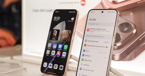 Photo1770001480521 1770001481797772780730 17700272431551323554334