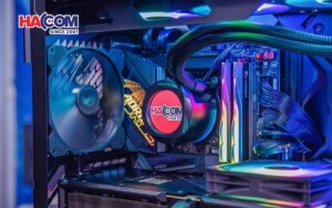 photo1773307889663 17733078901341121913410 17733947551541987284780