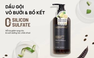 Dầu gội không chứa silicon của Việt Nam được ưa chuộng 1 photo1775632198747 1775632200647148688636 17756404327051159174361