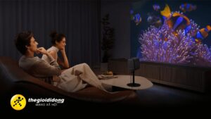 Phu Kien Giam Gia 2639063175512128523