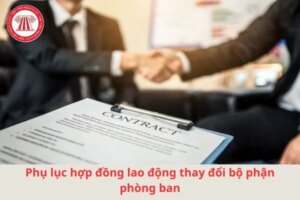 phu luc hop dong thay doi bo phan