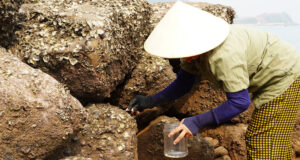 phu nu mien bien nghe an khom lung duoi nang gat duc da chat chiu loc troi 1729