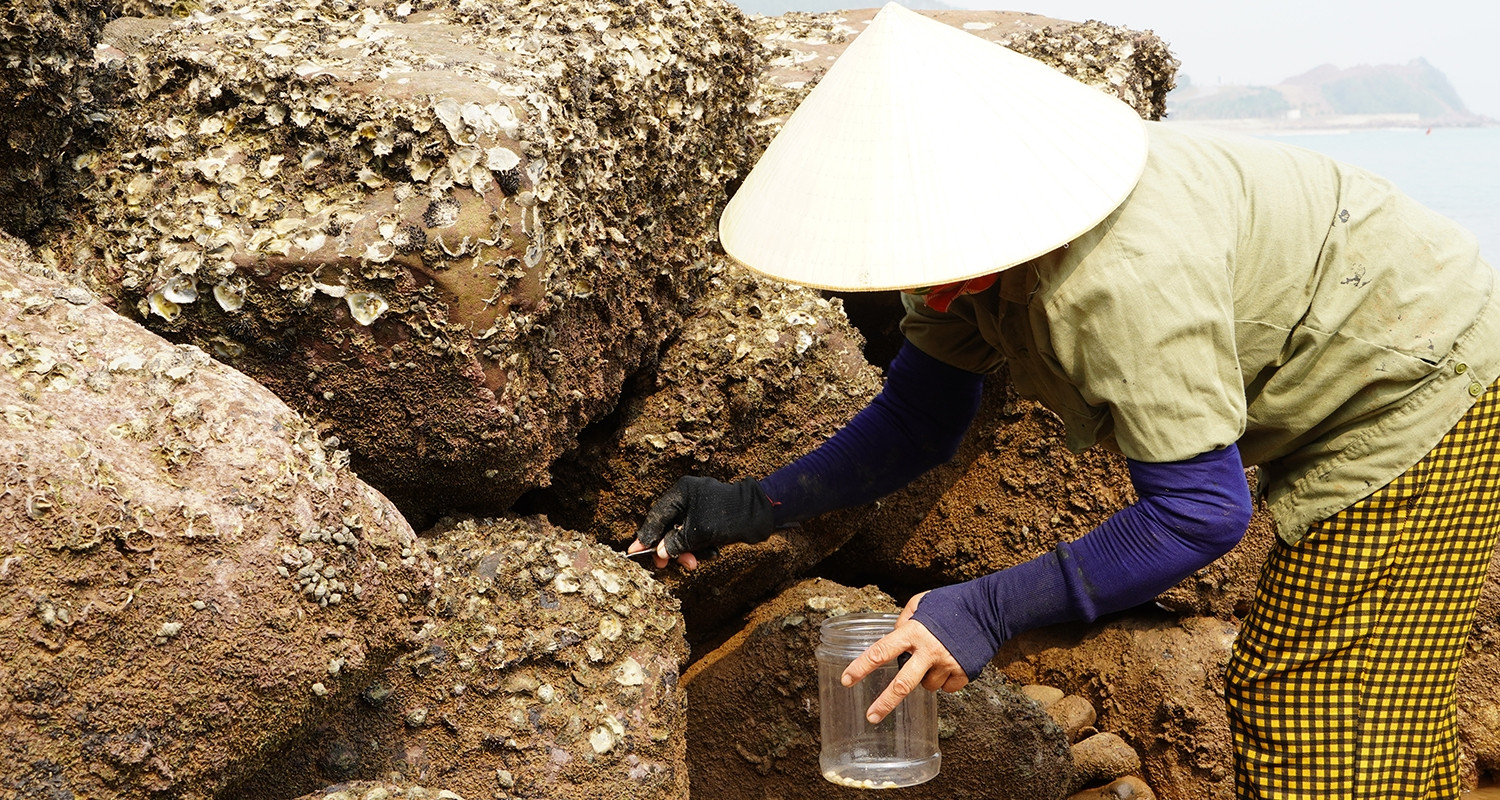 phu nu mien bien nghe an khom lung duoi nang gat duc da chat chiu loc troi 1729