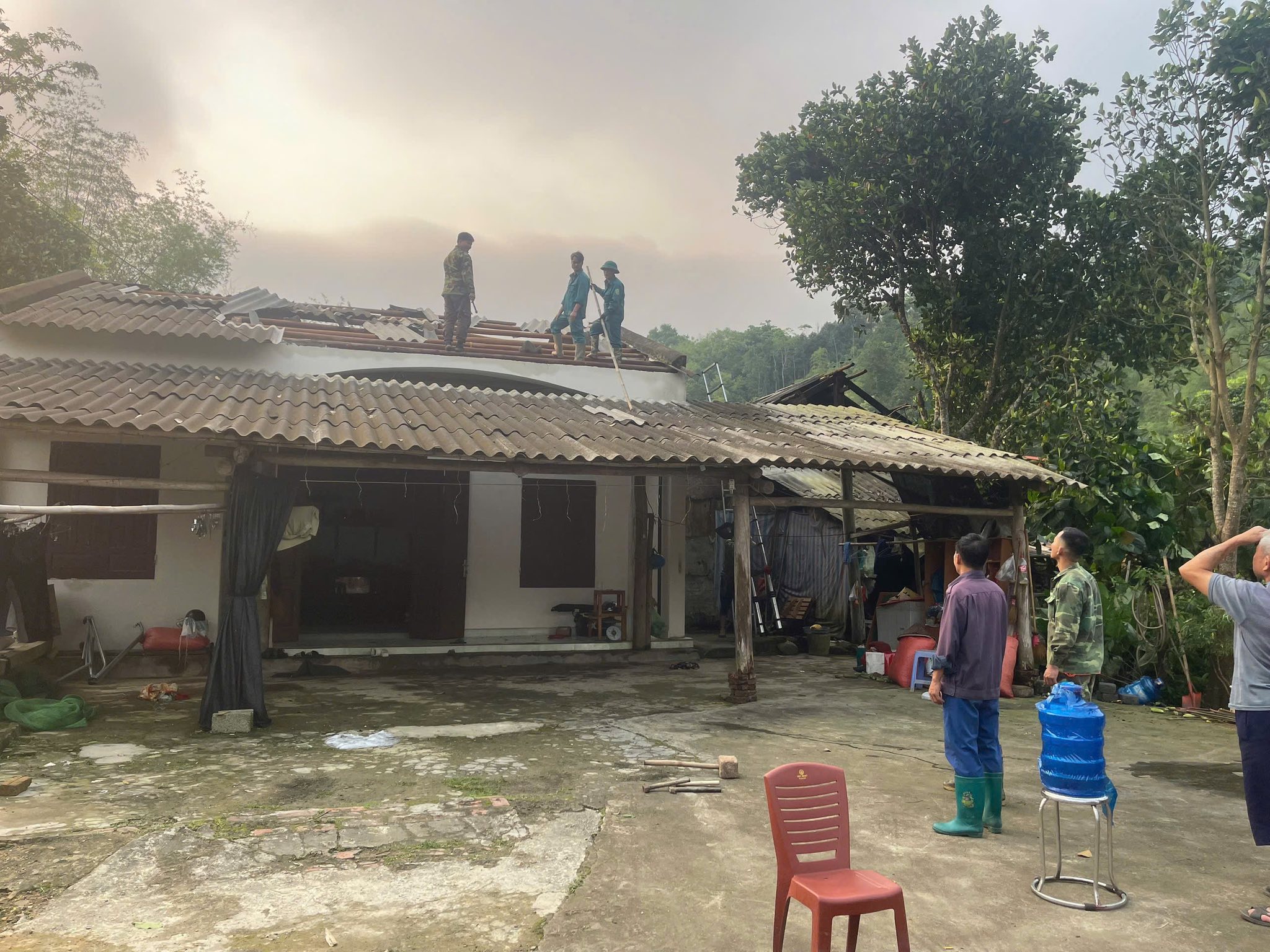 phu thong 20260330174432