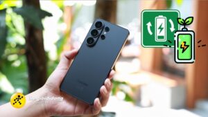 pin12 1639096022014903001