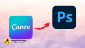 Pts Canva 12028129638966400948175797