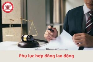 quy dinh phu luc hop dong lao dong
