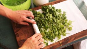 Rau Mui De Tu Lanh De Hong Lam Cach Nay Rau Tuoi Ca Tuan Khong Heo Giu Nguyen Chat Dinh Duong 172042