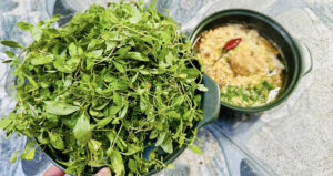 Rau 'trời ban' có từ Nam ra Bắc, vị đắng lạ, ăn cùng cháo cá lóc rất ngon 1 rau troi ban co tu nam ra bac vi dang la an cung chao ca loc rat ngon 2143