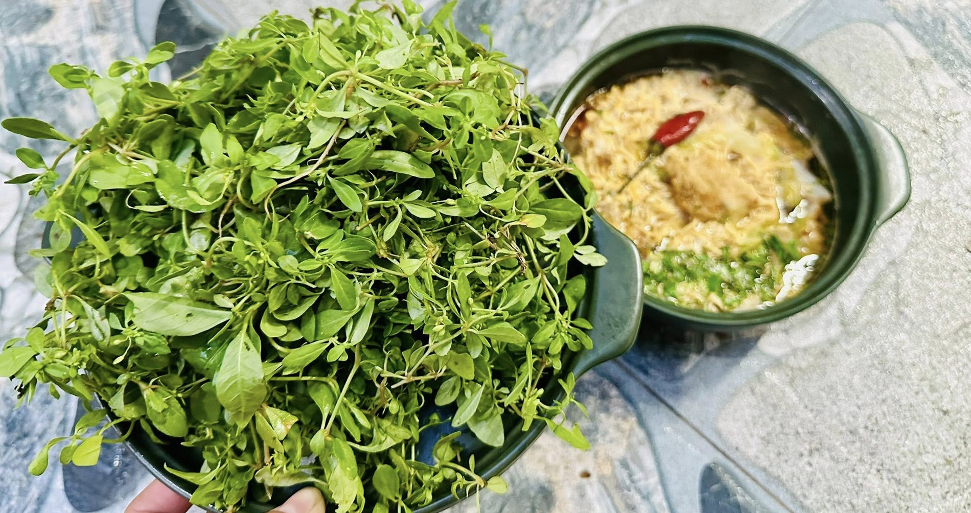 Rau Troi Ban Co Tu Nam Ra Bac Vi Dang La An Cung Chao Ca Loc Rat Ngon 2143