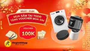 Saleto 2 2639040007033754992