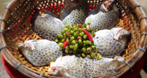 San Vat Troi Ban O Mien Tay An Ngot Thit Nau Canh Hay Kho Deu Ton Com 3320