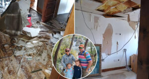 Sau 3 Tuan Du Lich Nam Phi Gia Dinh Soc Nang Khi Thay Nha Tan Hoang 2697