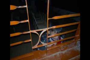 Screenshot 2026 02 11 085507 1611