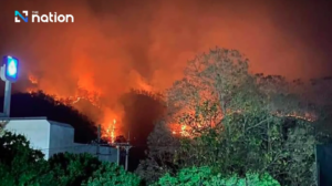 screenshot 2026 04 01 101816