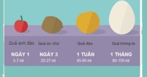 So Sinh 1761660701914270713737 178 0 400 355 Crop 1761660751218725972491