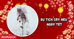 Su Tich Cay Neu Ngay Tet 2026 Meta Thumbnail