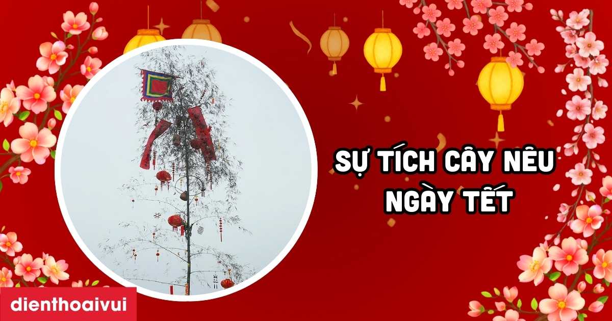 Su Tich Cay Neu Ngay Tet 2026 Meta Thumbnail