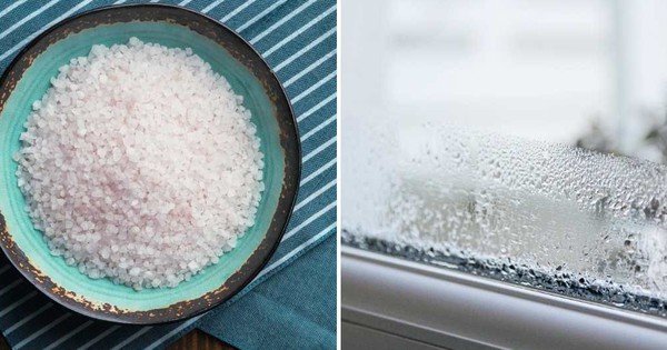 Suoi 17666375513361015031487 0 91 630 1099 Crop 17666375555651123929919