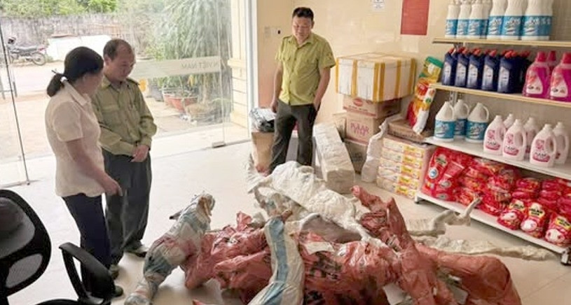 tam giu 15 phoi cay muoi hong duoc tap ket tai buu dien xa o thanh hoa 2226