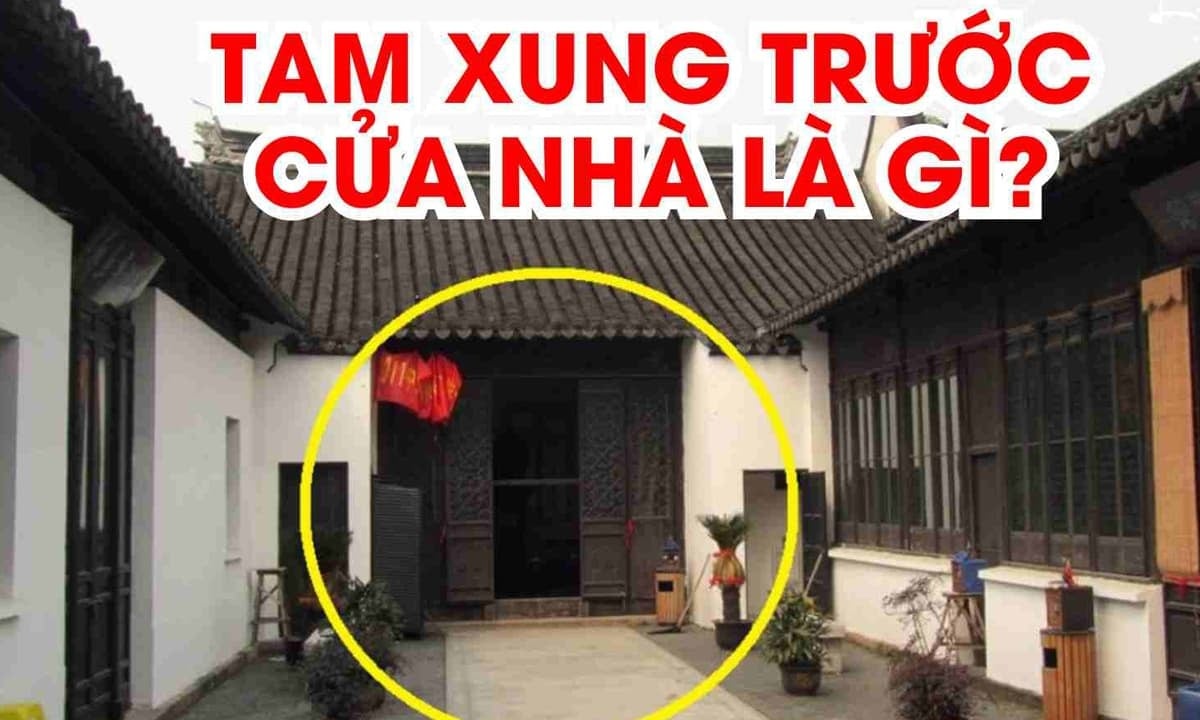 Tam Xung Truoc Cua Nguoi Lan Cua Deu Lao Dao Tam Xung Gom Nhung Gi 203801