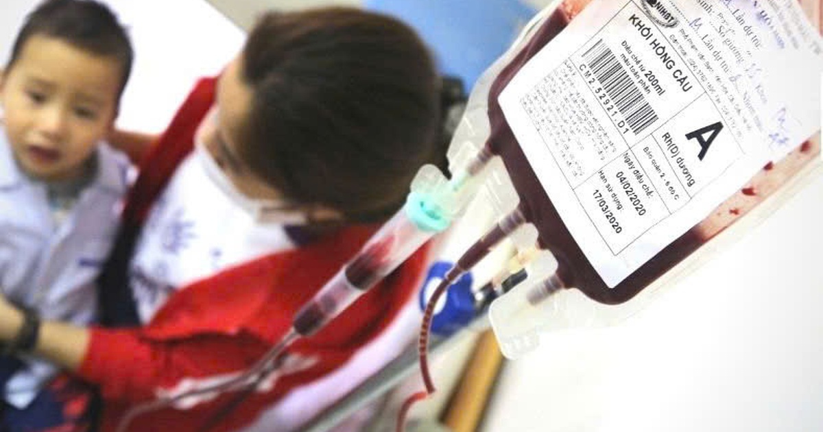 Tan Mau Bam Sinh 1767091805764503174026 0 0 492 788 Crop 17670918123121996487503