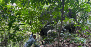 tang da nang nhieu tan nguy co do xuong deo bao loc 1182