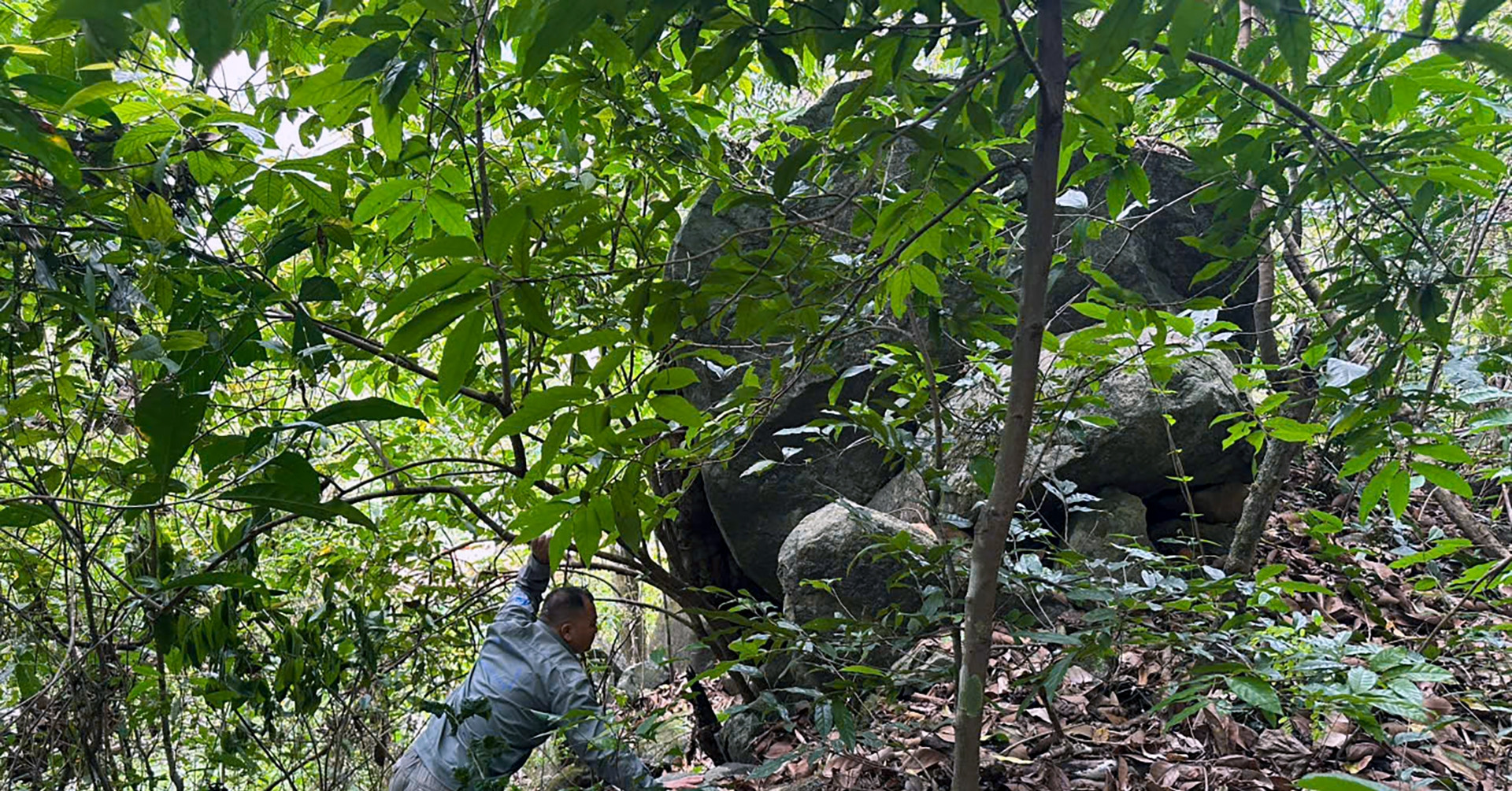 Tang Da Nang Nhieu Tan Nguy Co Do Xuong Deo Bao Loc 1182