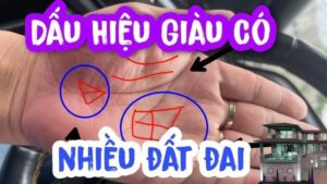 5 tướng bàn tay giàu có: Ai có được phúc lộc dồi dào, tiền về đầy tay 3 tay 0856