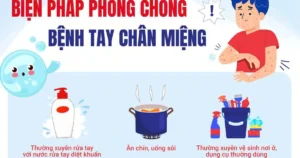 tay chan mieng 17749492982872046561681 145 0 945 1280 crop 17749493196862071282165 2 42 749 1238 cro