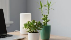 Tet Binh Ngo Bay 5 Cay Nay Trong Nha Tai Loc Tu Tim Den Lam An Hanh Thong Ca Nam 212635