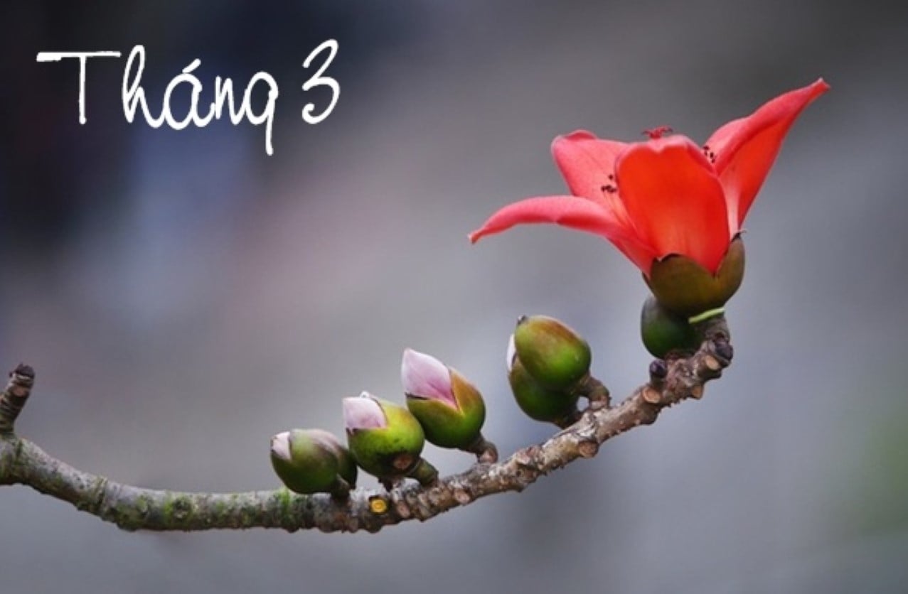 Thang Ba Co Gi Dac Biet So 3 May Man Hay Xui Xeo Ban Thay So 3 Trong Doi Song Minh The Nao 181837.Jp