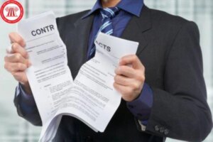 thoi han bao truoc cham dut hdld