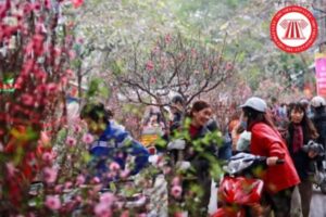 Thong Bao Lich Nghi Tet