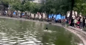 Thong Tin Vu Co Gai Nhay Xuong Ho Hoan Kiem Tu Vong 1087