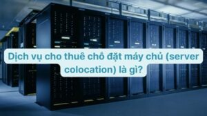 Thue Cho Dat May Chu